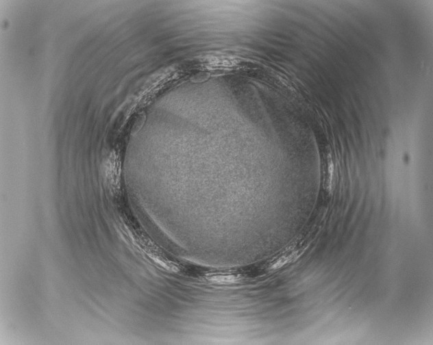 X0000053060228200507251457