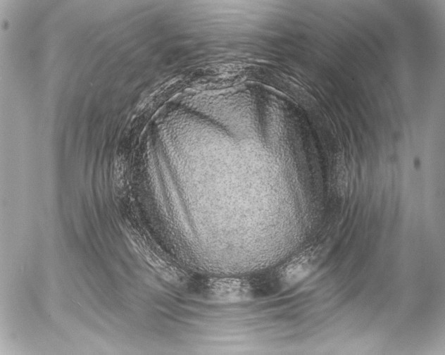 X0000053060230200507251457