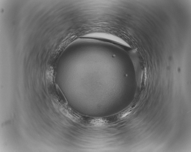 X0000053060231200507251457