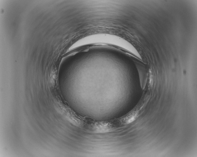 X0000053060235200507251456