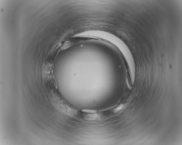 X0000053060237200507251456