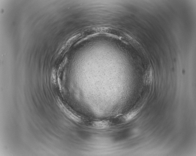 X0000053060238200507251456