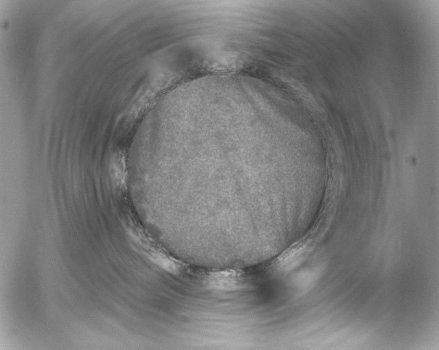 X0000053060240200507251456