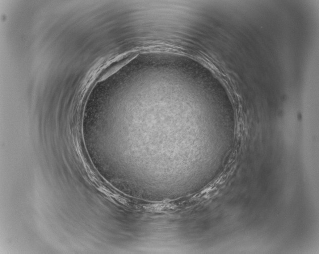 X0000053060241200507251456
