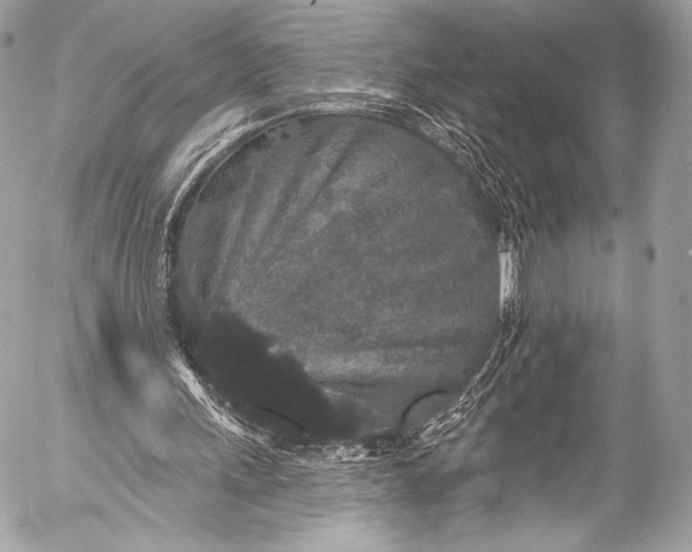X0000053060243200507251456