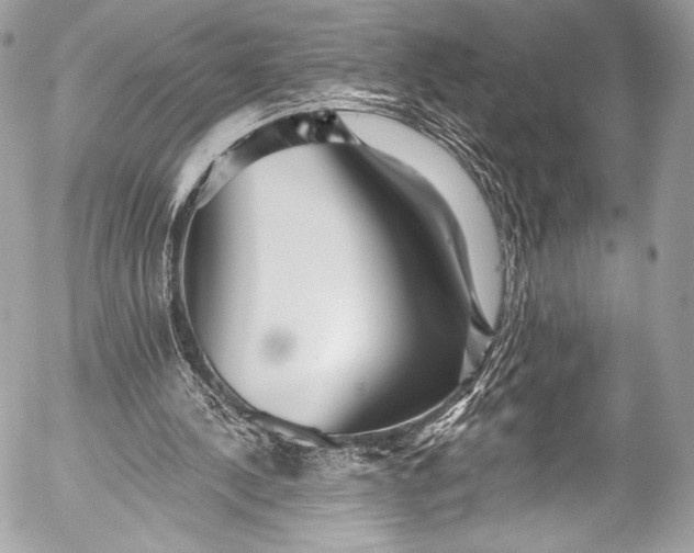 X0000053060244200507251456