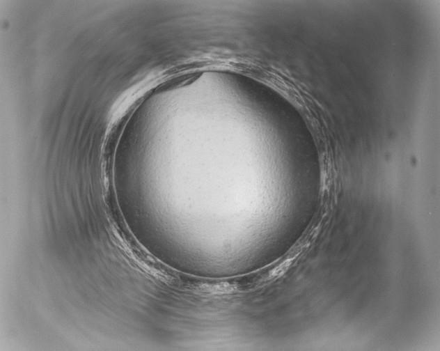 X0000053060245200507251456