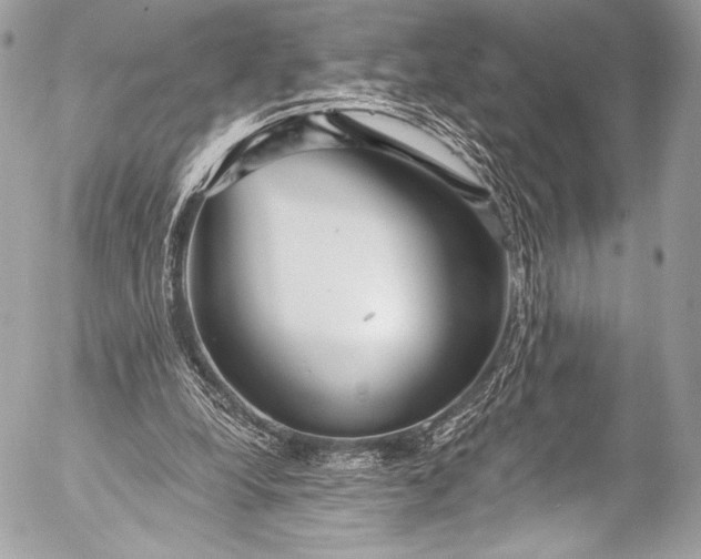X0000053060248200507251456