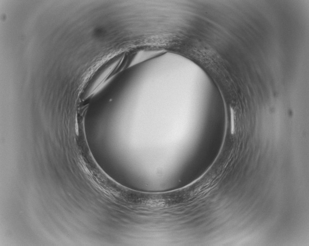 X0000053060252200507251456