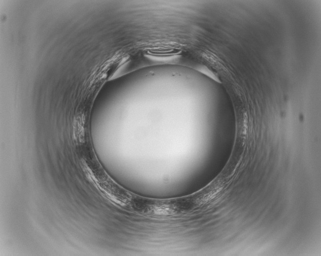 X0000053060264200507251456