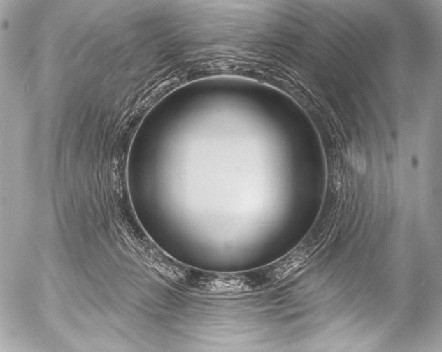X0000053060270200507251456