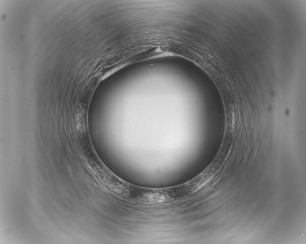 X0000053060272200507251456