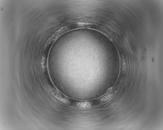 X0000053060275200507251456