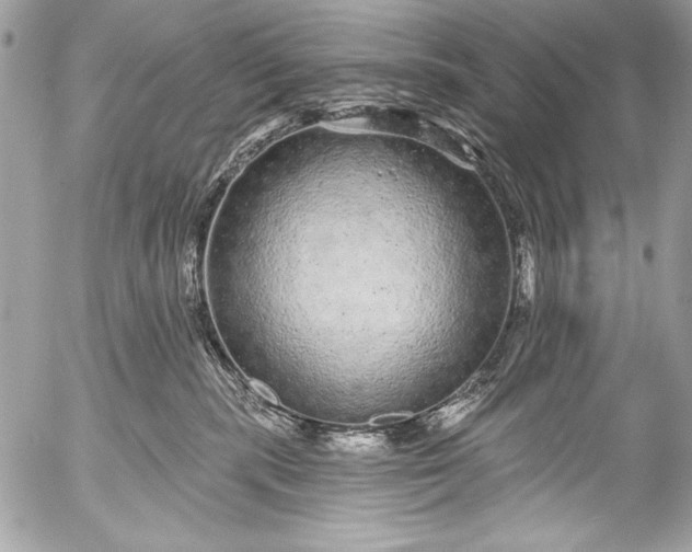 X0000053060283200507251456