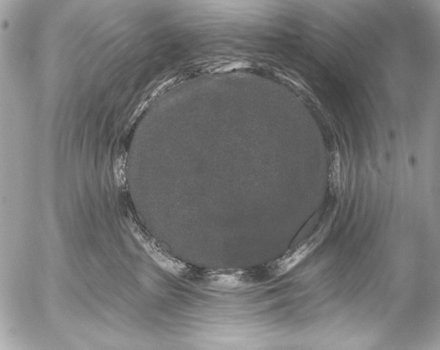X0000053060285200507251456