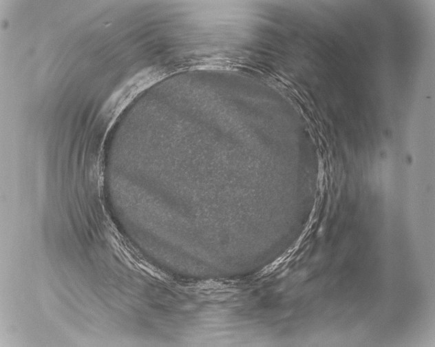 X0000053060290200507251456