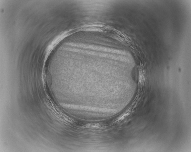 X0000053060294200507251456