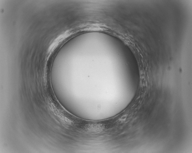 X0000053060296200507251455