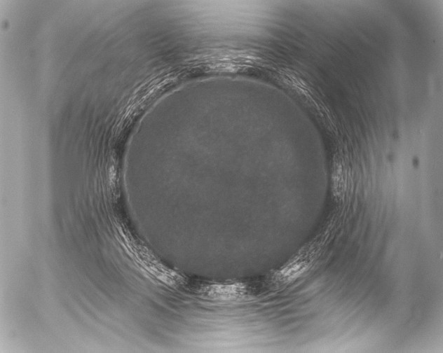 X0000053060314200507251455