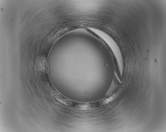 X0000053060325200507251455