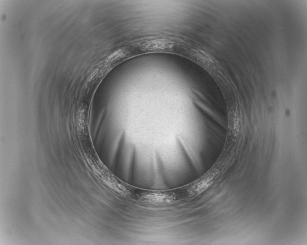 X0000053060326200507251455