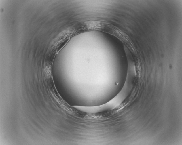 X0000053060329200507251455