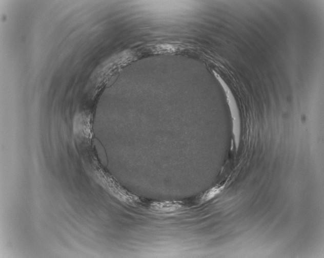 X0000053060331200507251455