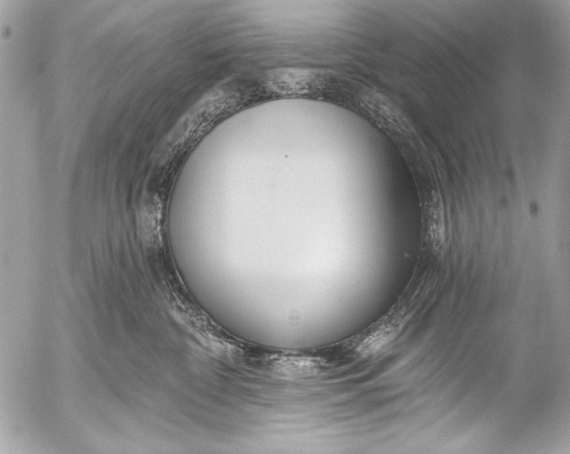 X0000053060332200507251455