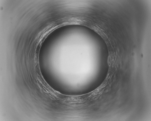 X0000053060338200507251454