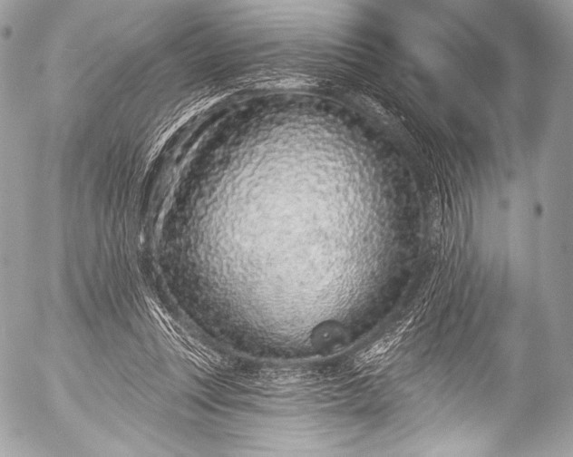 X0000053060351200507251454