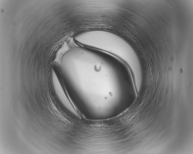 X0000053060356200507251454