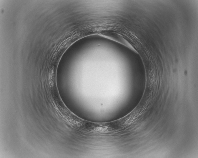 X0000053060364200507251454