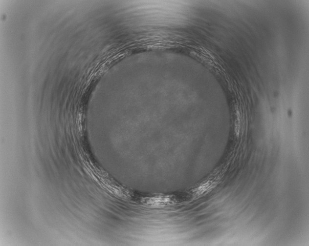 X0000053060366200507251455