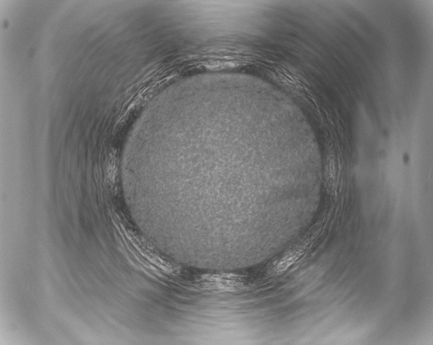 X0000053060367200507251455