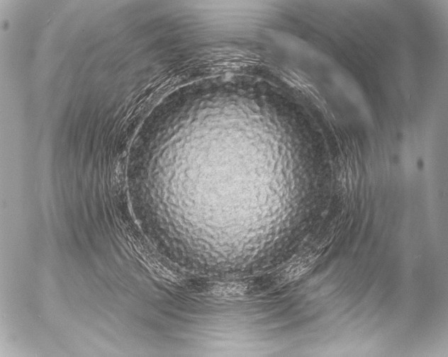 X0000053060369200507251455