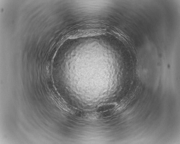 X0000053060373200507251455