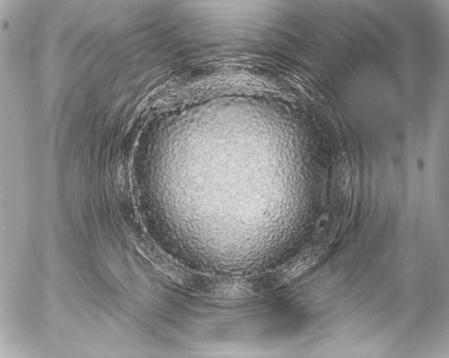 X0000053060375200507251455