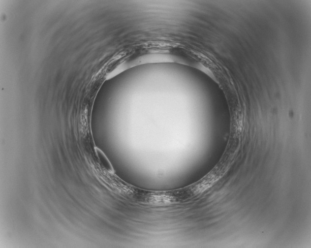 X0000053060376200507251455