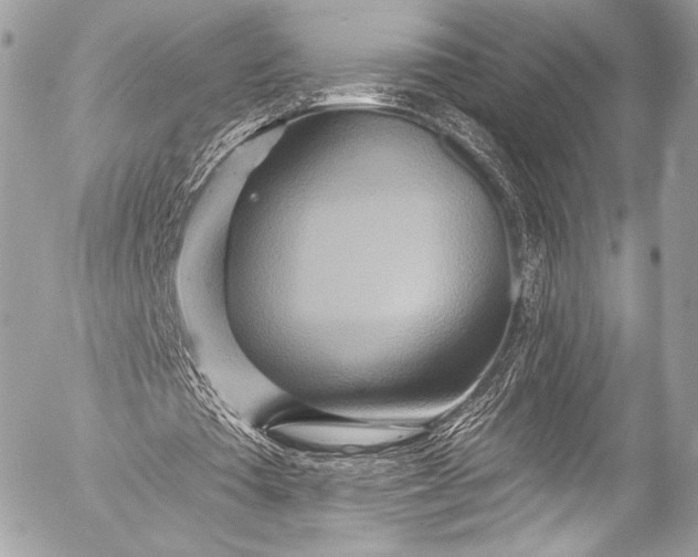 X0000053060385200507251454