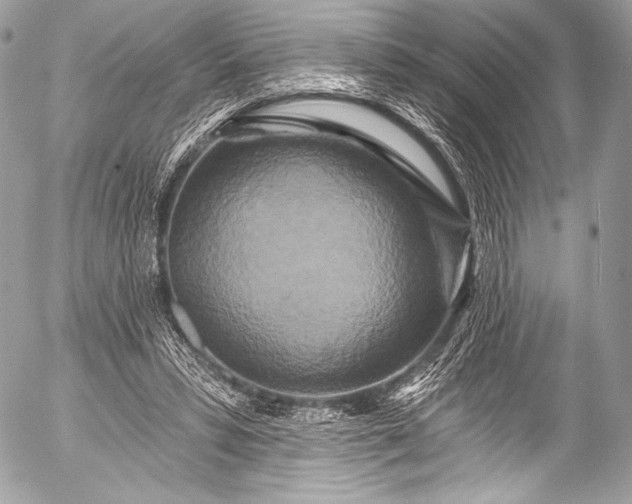 X0000053060399200507251454