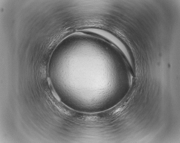 X0000053060401200507251454