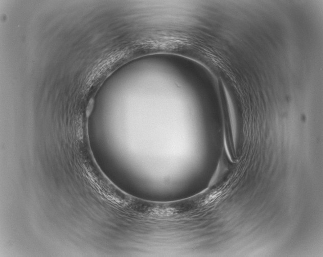 X0000053060403200507251454