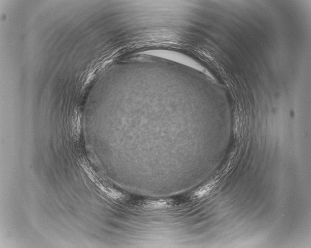 X0000053060405200507251454
