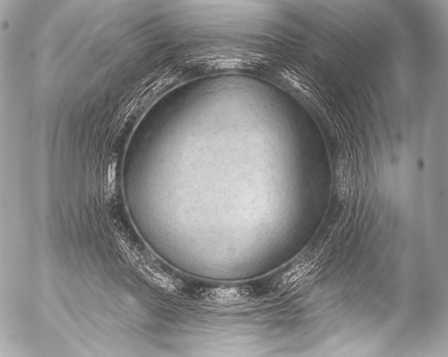 X0000053060406200507251454