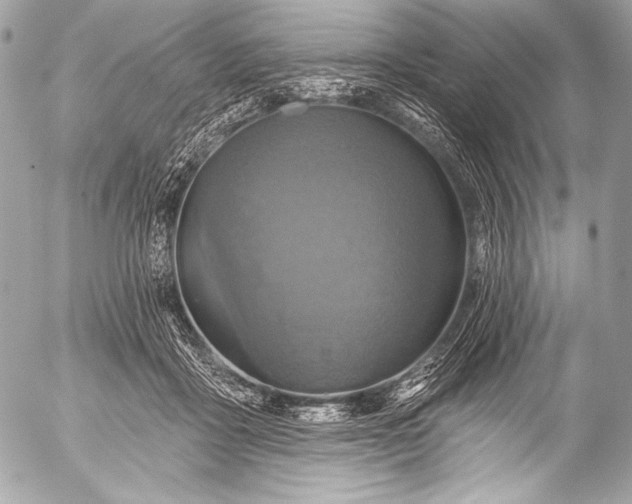 X0000053060411200507251454