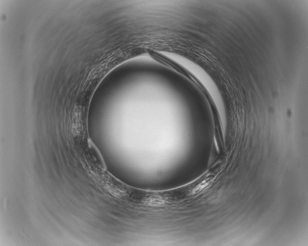 X0000053060416200507251454