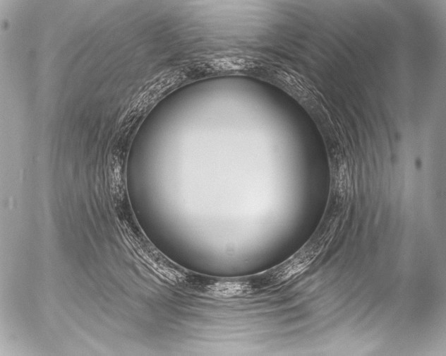 X0000053060418200507251453