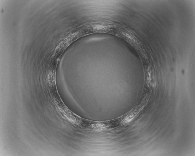 X0000053060419200507251453