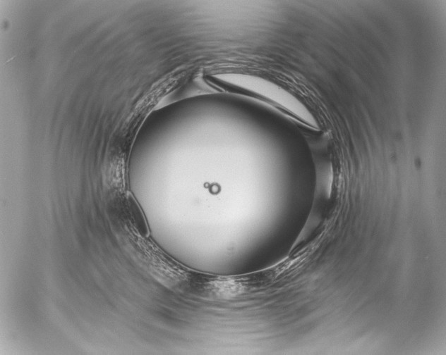 X0000053060425200507251453