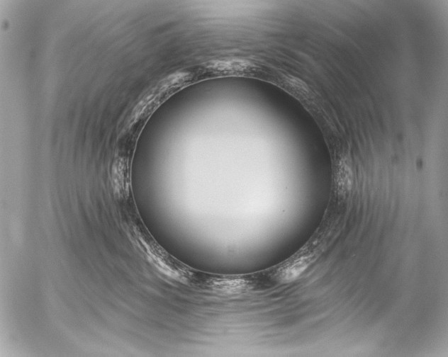 X0000053060428200507251453